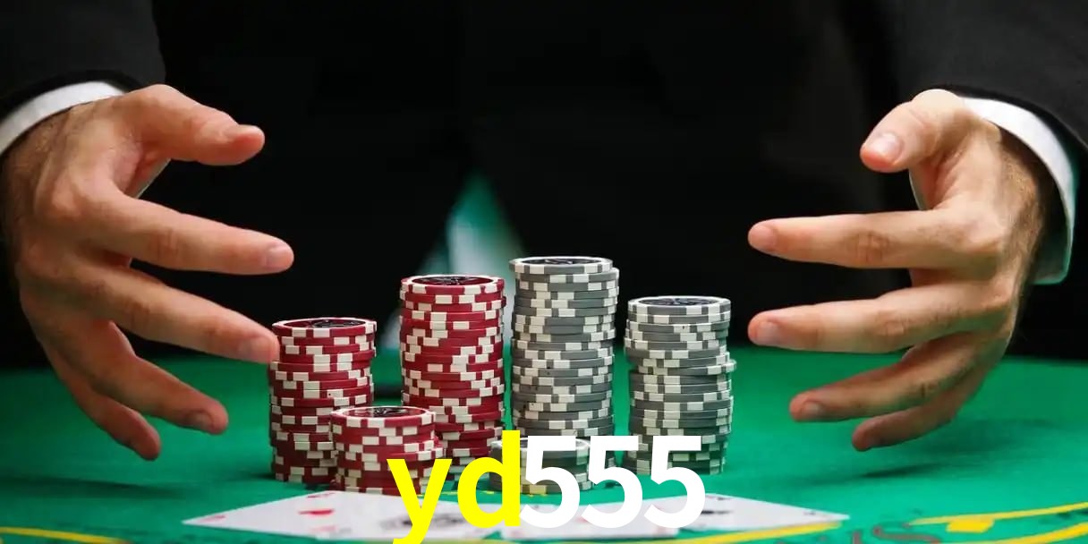 cassino yd555